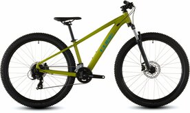 Cube Acid 260 Disc Lizard