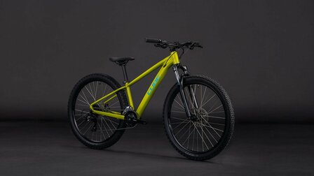 Cube Acid 260 Disc Lizard