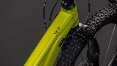 Cube Acid 260 Disc Lizard