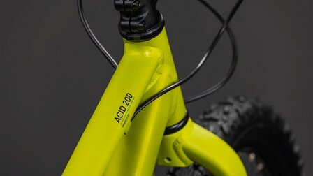 Cube Acid 200 Disc 2026 Lizard