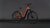 Cube Touring Hybrid Comfort SLX 800