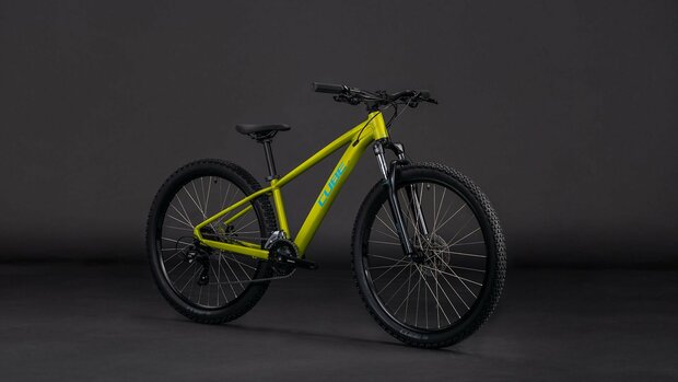 Cube Acid 260 Disc Lizard