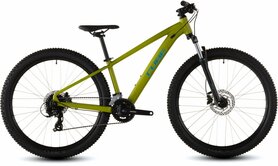 Cube Acid 260 Disc Lizard